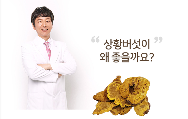 박경호 달임 상황버섯
